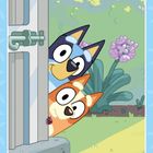 Zwei cartoonartige Hunde schauen lachend aus einer geöffneten Tür. Im Hintergrund sind Pflanzen und eine lila Blume.