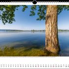 Eine VS-Wetterlage brachte Anfang Juni viel Regen nach Süddeutschland. Baumstamm am Ufer eines ruhigen Sees, blauer Himmel.