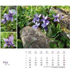 Mai. MO, DI, MI, DO, FR, SA, SO Kalender. Lila Blüten auf grünem Grund, aufgeteilt in drei Ansichten.