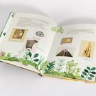 Illustration mit Texten: Murmeltier, Amselnest, Buntspechtnest, Hainschnecke, Maulwurf, Termitenbau. Pflanzenmotive als Dekor.