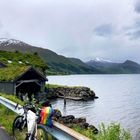 Rad auf Landstraße am Fjord, bunte Regenbogenfahne. Grasdächer, Berge im Hintergrund, Wasser neben der Straße.