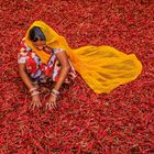 Eine Frau in bunter Kleidung und gelbem Schleier sitzt in einem Meer aus roten Chilischoten.