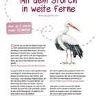 Titel: "Mit dem Storch in weite Ferne". 

Text: Massagegeschichte; Alter: ab 3 Jahren; Dauer: 15 Minuten. 

Illustration eines Storchs.