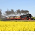 Kalender zeigt Mai. Dampflok mit drei rot-beigen Waggons fährt durch eine gelbe Rapsfeldlandschaft.