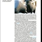 Stadttour: Bär und Bulle vor der Deutschen Börse. Kinder dürfen auf ihnen herumklettern.