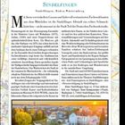 Sindelfingen: Weltoffen, traditionsreich, lebendig. Beschreibung und Highlights der Stadt. Bild zeigt Dächer von Sindelfingen.