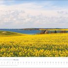 Mai 2027. Küstenlandschaft mit gelbem Rapsfeld, blauer See und leicht bewölktem Himmel. Kalender unten.