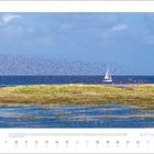 Mai 2027 Kalender. Text über den Nationalpark Wattenmeer. Segelboot auf Meer, Vogelschar, Wiesen im Vordergrund.