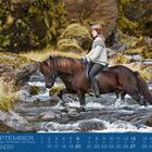 SEPTEMBER, ISLÄNDER. Eine Person reitet auf einem Pony durch einen Bach in einer felsigen Landschaft.