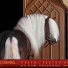 "September" und Monatskalender. Dunkles Pferd mit langem, weißem Schweif und Mähne vor einer geschnitzten Holztür.