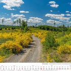 Mai 2027 Kalender, Hückeswagen, gelbes Blütenmeer, Panoramaweg, blauer Himmel, weiße Wolken, Schotterweg.
