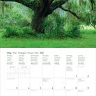 Kalenderblatt für Mai 2027 in mehreren Sprachen. Großes, verzweigtes Baumfoto mit hängendem Moos im Hintergrund.