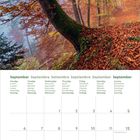 Kalender für September 2027. Großes Foto: Herbstwald mit Bäumen, buntem Laub und sanftem Licht.