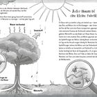 Texte: 
1. "Bäume gehören zu den ältesten Lebewesen überhaupt..."
2. "Jeder Baum ist eine kleine Fabrik."
3. "Wasser verdunstet", "Kohlendioxid", "Sauerstoff".
4. "Über die Spaltöffnungen der Blätter verdunstet das Wasser."
5. "Die heruntergefallenen Blätter werden von Kleinstlebewesen in Humus umgewandelt."

Illustration: 
Ein Baum mit Wurzeln, Blättern und textlichen Erklärungen zur Photosynthese. Pfeile zeigen Stoffkreisläufe. Vergrößerungsgläser heben Prozesse hervor.