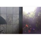 Links: Vergittertes Fenster, beschlagen und leicht undurchsichtig. Rechts: Heller Garten mit vielen grünen Pflanzen und Blumen.