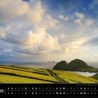 Text: "Irland 05", "Blick zu den Inseln Skellig Michael und Little Skellig, County Kerry". Küstenlandschaft, grünes Gras, Meer.