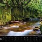 Neuseeland, Mai. Ein moosbewachsener Canyon mit einem ruhig fließenden Fluss inmitten üppiger Vegetation.