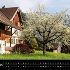 Liechtenstein 05. Altes Bauernhaus in Mauren. Ein blühender Baum vor einem traditionellen Haus mit Bergen im Hintergrund.