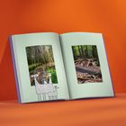 Links Seite 22, rechts Seite 23. Links Illustration von niedlichen Tieren, rechts schlafende Rehe im Wald.