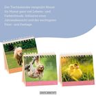 Ein Tischkalender zeigt Zitate und Tiere:

1. "TU NIX" mit einem Faultier.
2. "FREUNDSCHAFT" mit Entenküken.
3. Ein Pony auf einer Wiese.