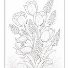 Illustration von Tulpen und Lavendel, detailliert gezeichnet, mit klaren Linien auf hellem Hintergrund.