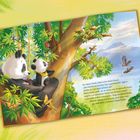 Text: Der kleine Panda sieht in den Baum hinauf. Zwei Pandas im Baum, umgeben von grünen Blättern und Tieren.