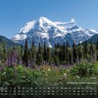 Wildblumen vor schneebedecktem Berg, Wald mit hohen Bäumen, klarer blauer Himmel. Kalendergrafik am unteren Bildrand.