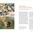 "APFELBAUM – OBJEKT DER BEGIERDE" und "FRÜHLING" stehen groß geschrieben. Zwei Bilder zeigen Apfelblüten und Bienen.