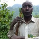 Ein Mann mit einem Stock steht in dichtem, grünen Dschungel. Auf seinem Hemd sitzt ein grünes Chamäleon.