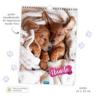 Großer Wandkalender für Hunde-Fans. Hunde 2024. Zwei schlafende Welpen gemütlich in eine Decke eingewickelt.