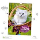 "Liebste Katzen 2027" Kalender, weiße Katze im Korb mit Trauben, Hinweis auf nachhaltiges Papier, Pfotenabdrücke, Größe 24x33 cm.