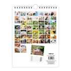 Art.-Nr.: 2602705, Preis 6,95 €. Kalender mit Katzenfotos. Logo „TRÖTSCH Verlag“.