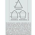 Titel: "Die drei Grundformen der Bevölkerungsstruktur". Diagramme zeigen "Junge Bevölkerung", "Alternde Bevölkerung", "Überalterte Bevölkerung".