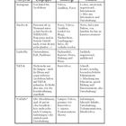 Tabelle mit Plattformen, Zielgruppen, Inhaltstypen, Tonalität. Plattformen: Instagram, Facebook, LinkedIn, TikTok, YouTube.