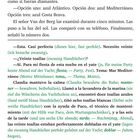 Seite 5. Spanisch und Deutsch. Claudia brachte blaue Stoffmuster. Benötigte zwanzig Handtücher für eine Feier.
