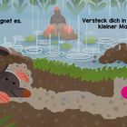 "Nun regnet es. Versteck dich in deiner Höhle, kleiner Maulwurf!" Maulwurf im Boden, Regen, Pflanzen und Pilze.