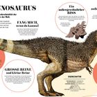 TYRANNOSAURUS. Ein einzigartiges, furchterregendes Aussehen. "FANG MICH, wenn du kannst!" Illustration eines Tyrannosaurus.