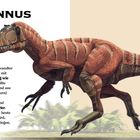YUTYRANNUS: Ein großer, gefiederter Dinosaurier. Steckbrief: China, 9m Länge, 1400kg. Verwandt mit T-Rex, konnte nicht fliegen.