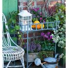 49 DEZEMBER 06 07 08 09 10 11 12. Gartenstilleben mit Pflanzen, einer Kerze in einer Laterne, einem Stuhl und einer Gießkanne.