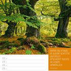 Text: "Wenn du etwas in kleine Schritte aufteilst, erscheint nichts im Leben unmöglich. Zen-Weisheit." Kalender: November.