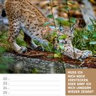 Text: „Muss ich mich noch verstecken, oder darf ich mich langsam wieder zeigen?“ November KW47/2027. Luchs im Wald.