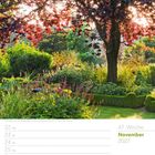 Kirschpflaume mit Mauerpfeffer, Astern und Kerzenknöterich. Kalender: 47. Woche, November 2027. Naturgarten mit rotem Baum.