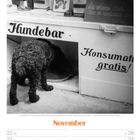 „Hundebar. Konsumation gratis!“ Ein Hund trinkt Wasser aus einem Napf in einer Bar für Hunde. Es ist November 2027.