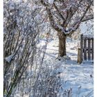 "50 DEZEMBER, Mo 13, Di 14, Mi 15, Do 16, Fr 17, Sa 18, So 19. Winterlicher Garten mit Schnee bedeckten Bäumen und Sträuchern."