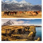 Kalenderabschnitt: 48. Woche 2027, 29. Nov - 5. Dez, mit Landschaftsfotos: Pferde vor Bergen, Küste mit Felsen.