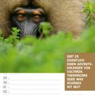 "GIBT ES EIGENTLICH EINEN ADVENTSKALENDER VON VOLTAREN..." fragt in weißem Text. Darunter ein Affengesicht im Grünen.