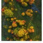 Herbstlandschaft auf der Insel Kischi, Russland. Luftansicht von bunten Bäumen mit einem geschwungenen Pfad, Kalender unten.