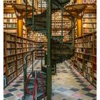 51 DEZEMBER, Mo 20, Di 21, Mi 22, Do 23, Fr 24, Sa 25, So 26. Eine Bibliothek mit Wendeltreppe und Bücherregalen.