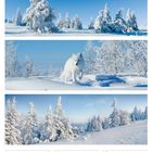 Dezember 49. Woche 2027; 3. Advent. Bilder: verschneite Landschaften, Polarfuchs, Bäume. Kalender: 06-12.12.