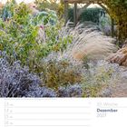 Text: "50. Woche Dezember 2027, 4. Advent." 

Ein frostiger Garten mit Rosen und Gräsern, im Hintergrund ein Holzpavillon.